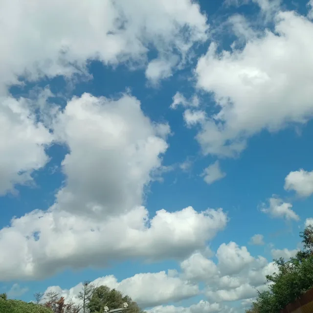 안경