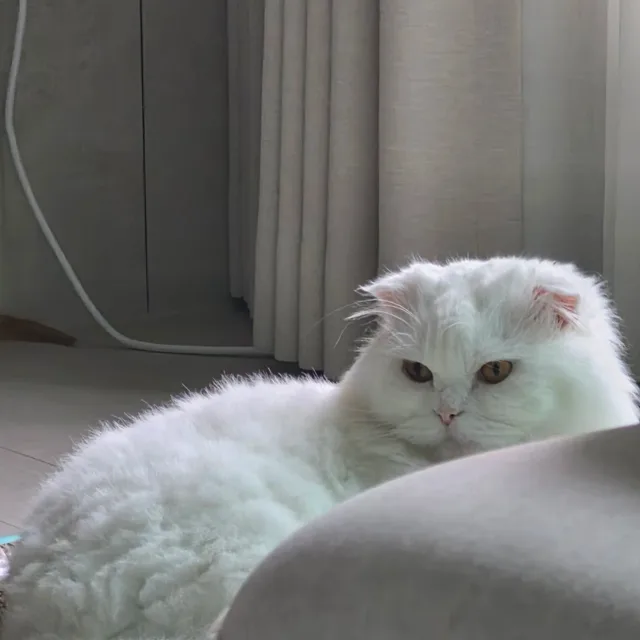 레벨업