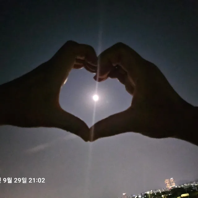 너와함께