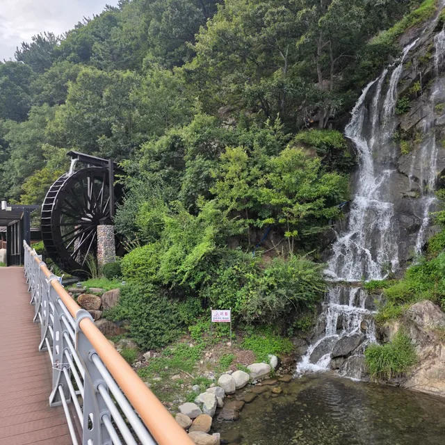 무대거사