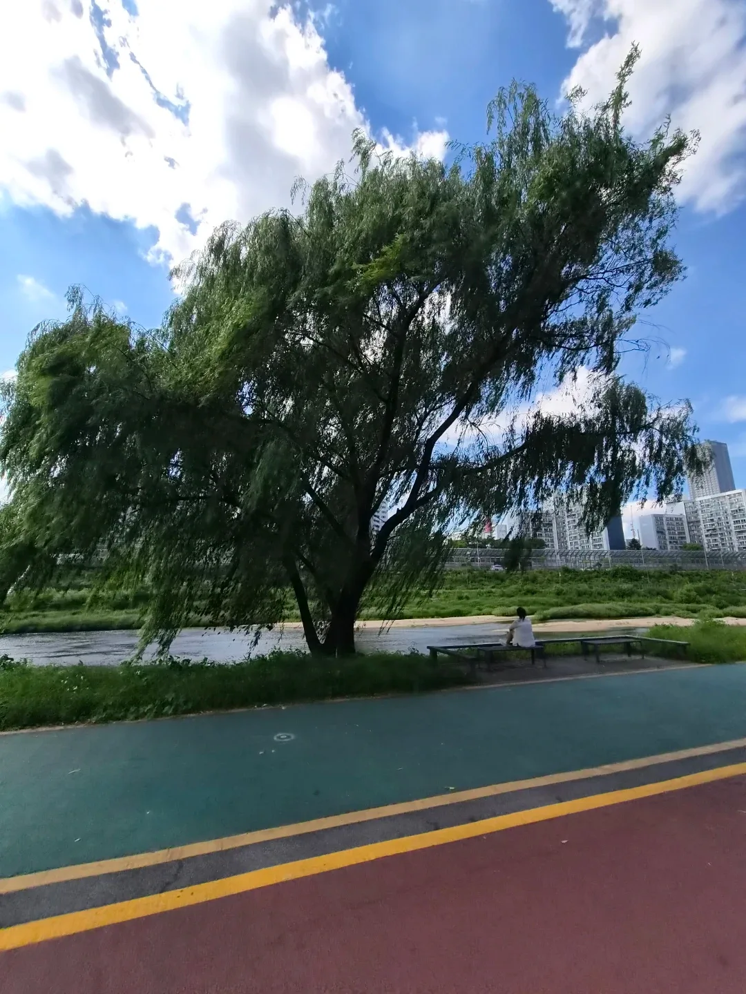 핀꾸핀꾸