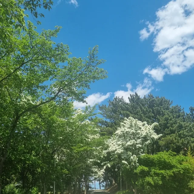 몽이맘