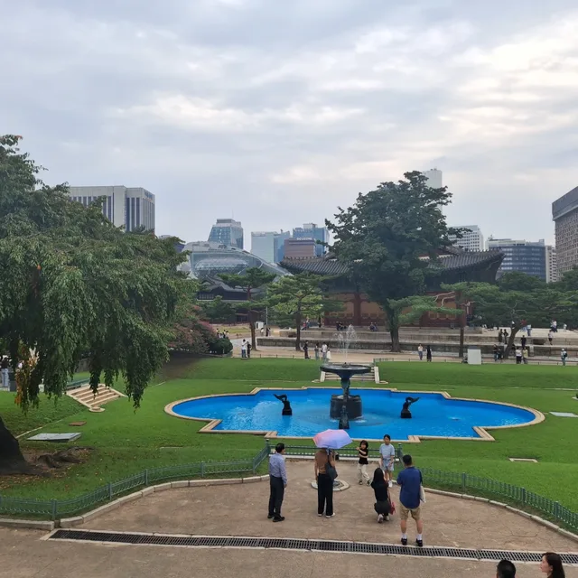 해바라기