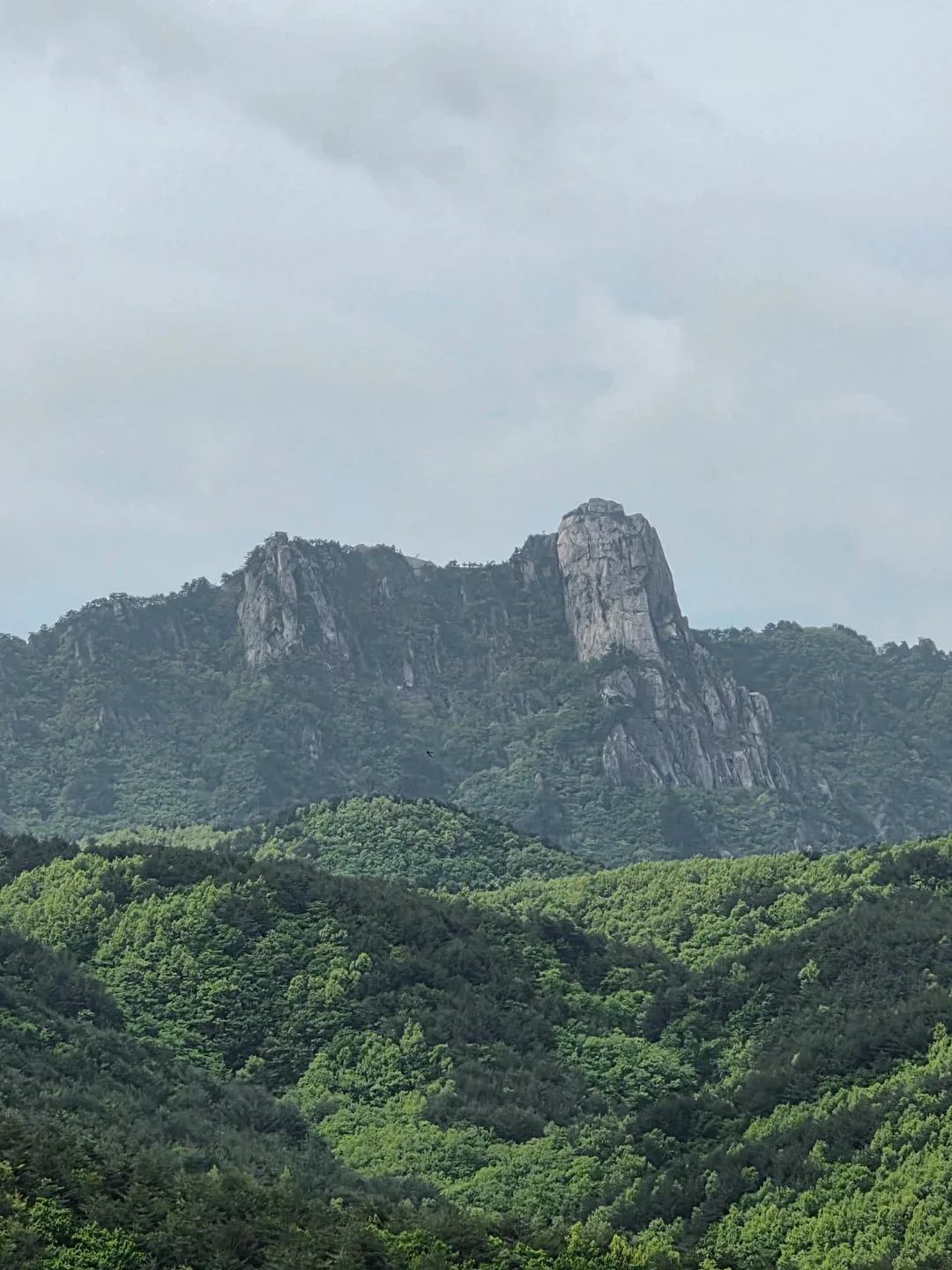 퐁퐁2