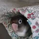 효효맘
