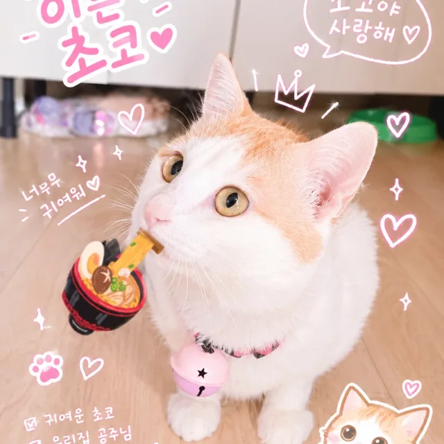 귀요미