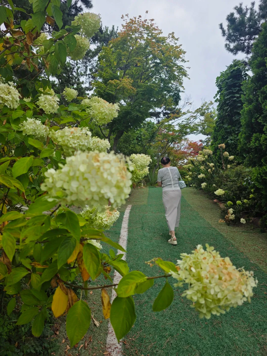 닻별