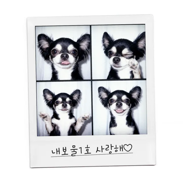 공주