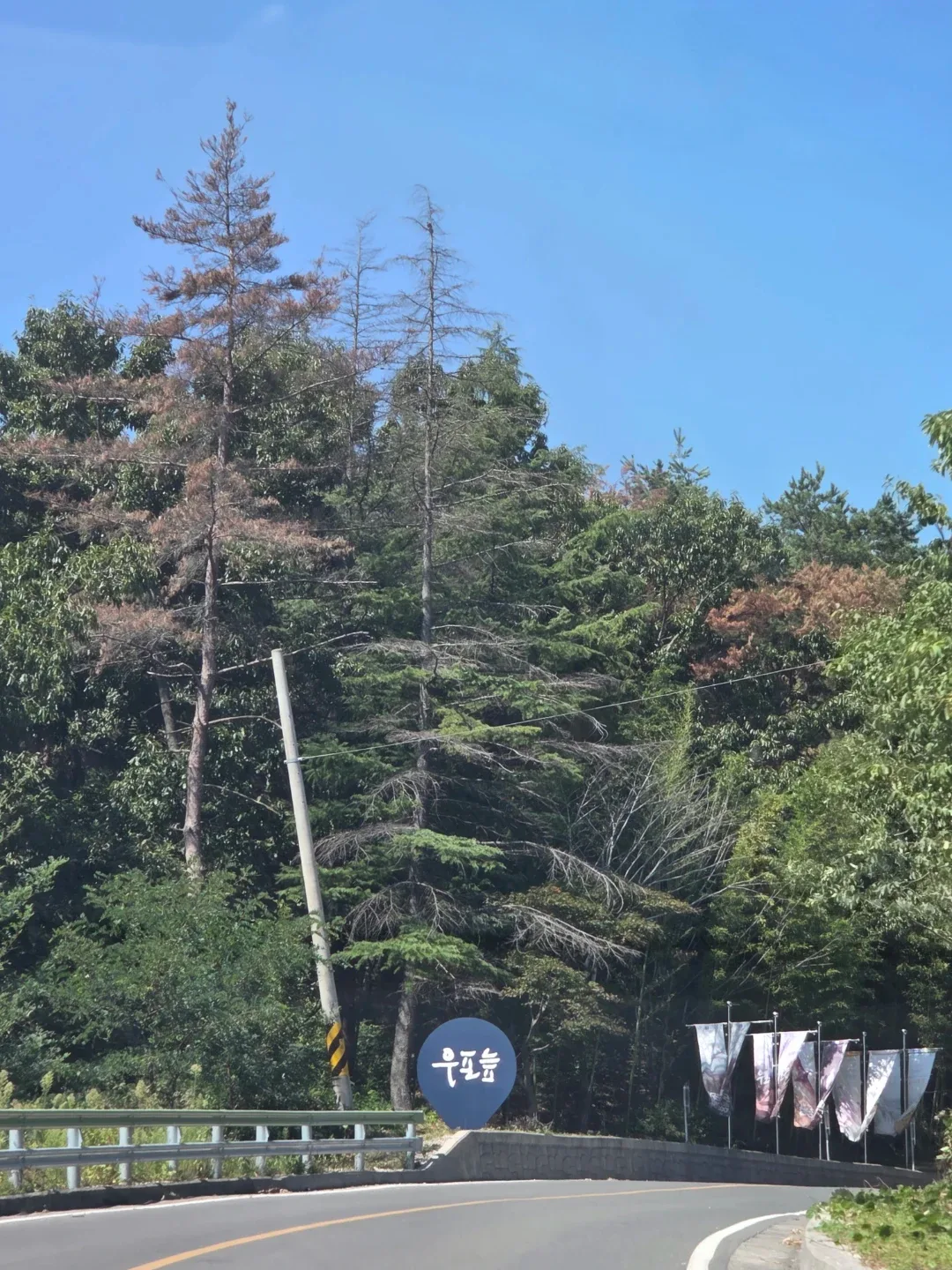 컹컹이친구입니당
