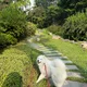 포니