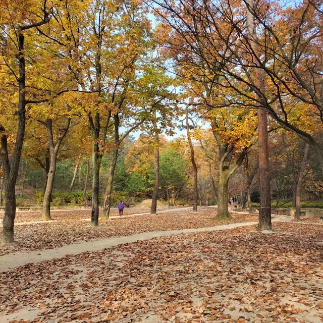 파랑