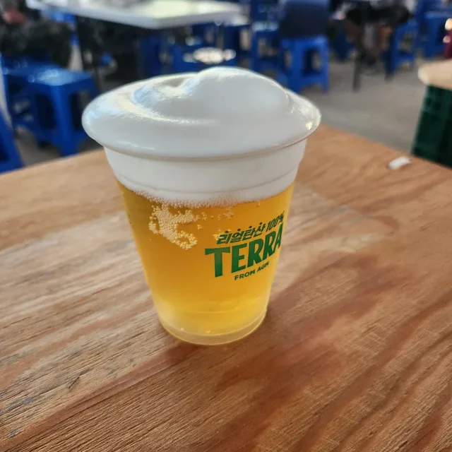 스텔라
