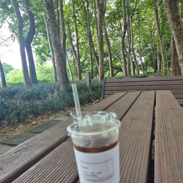 산타