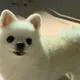 908