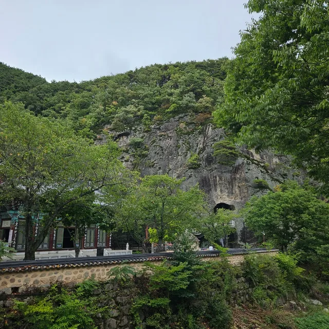메탈자연