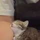 쥬아