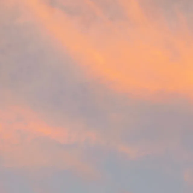 까꿍이