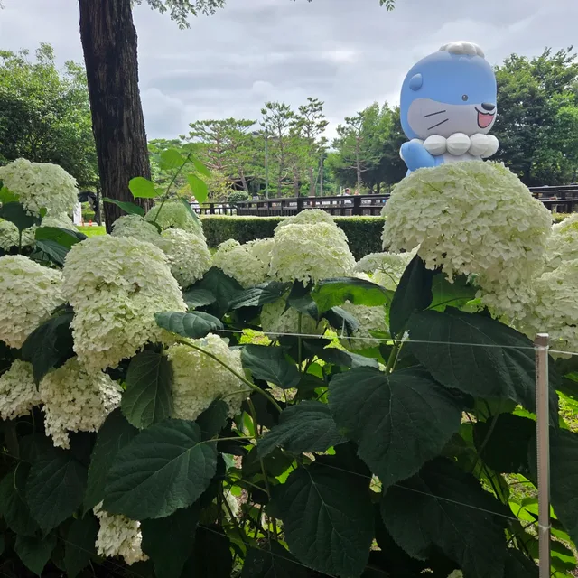 라온힐조