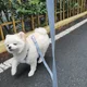 이지훈