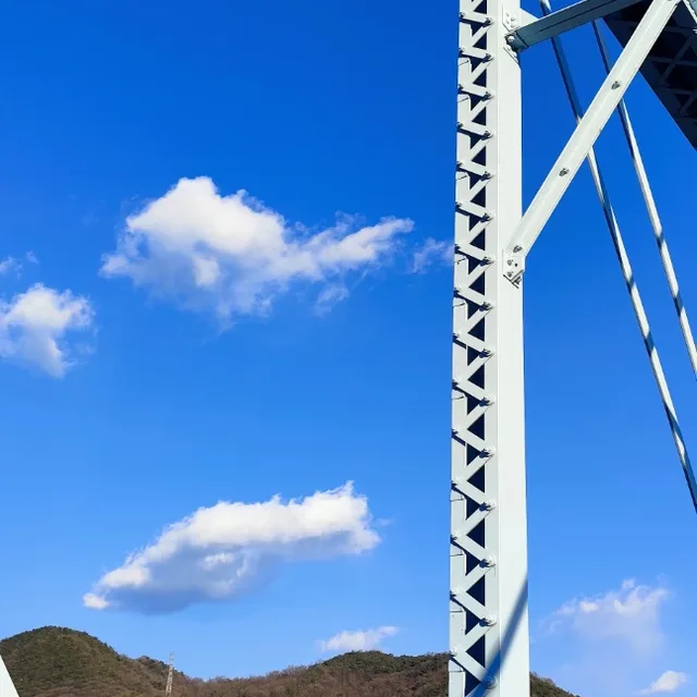 파파