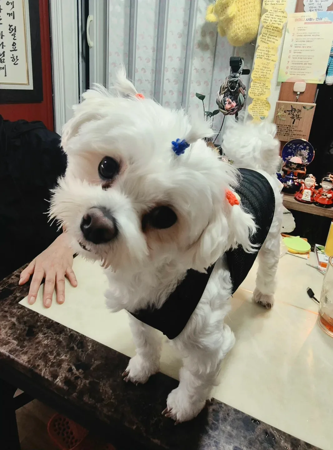 루이