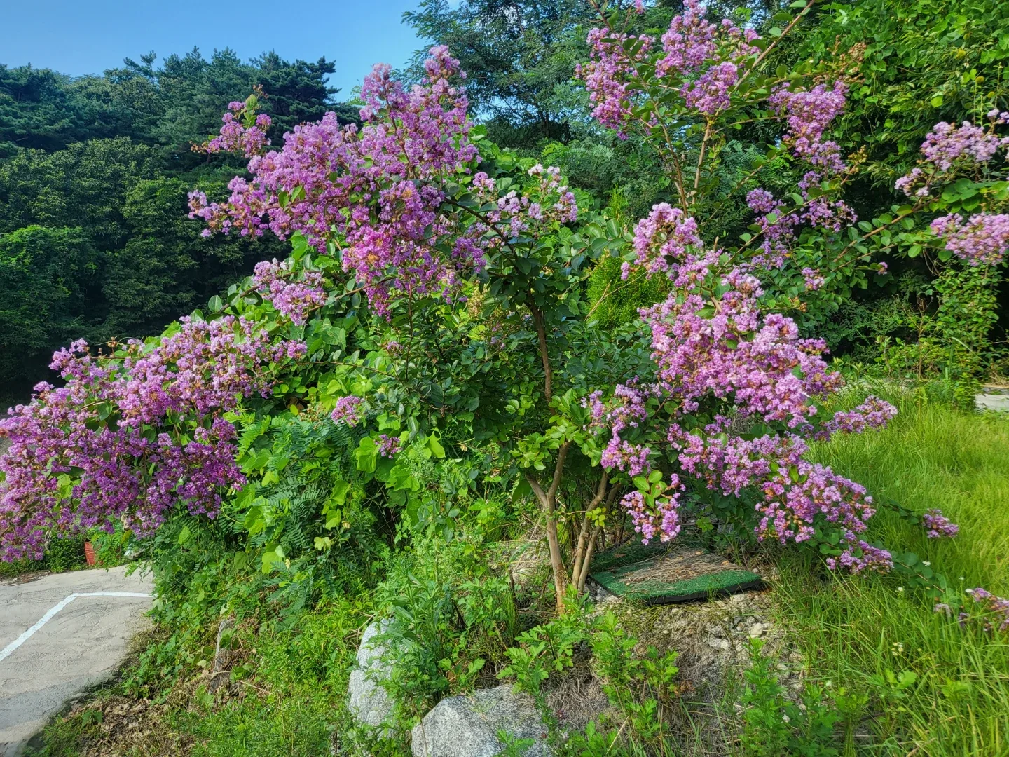 누군이