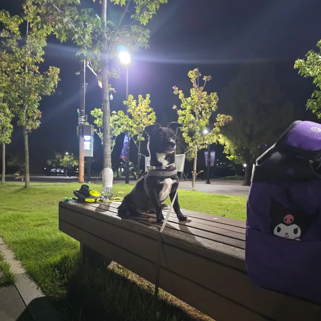 빛희웅