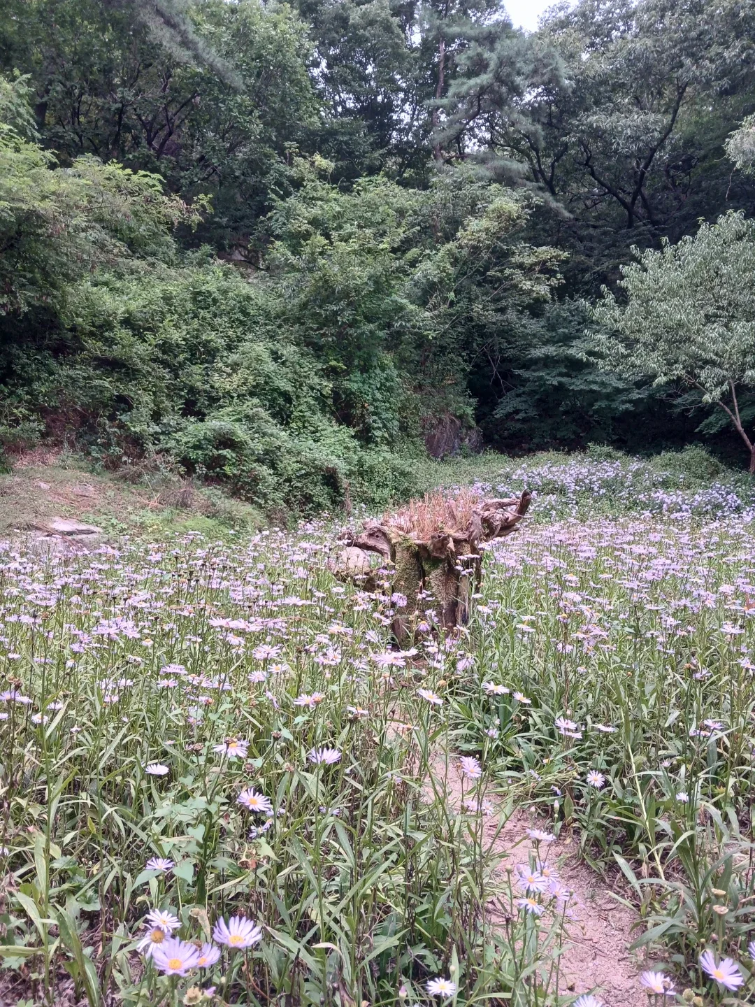 굿뜨데이만
