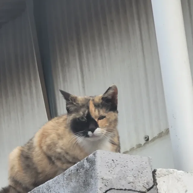 힘내라고
