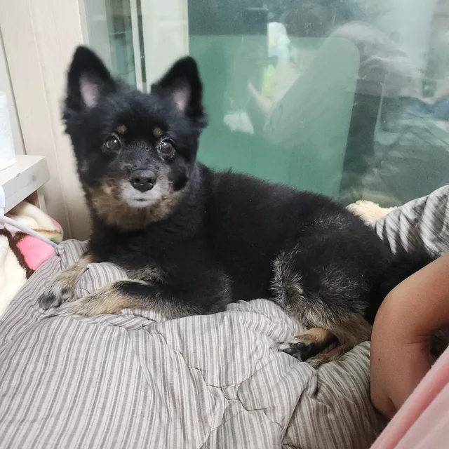 라브라