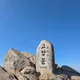 유리화