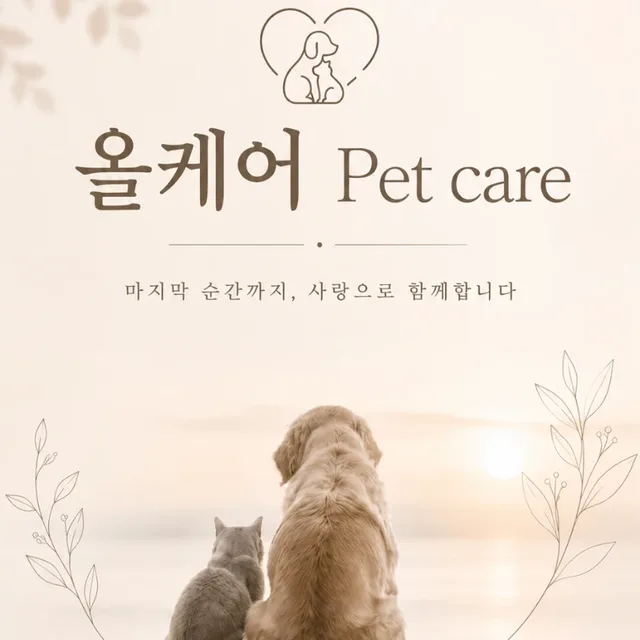 Allcare펫케어