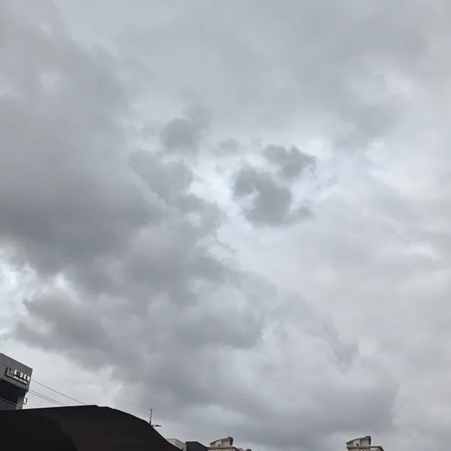 하루하루