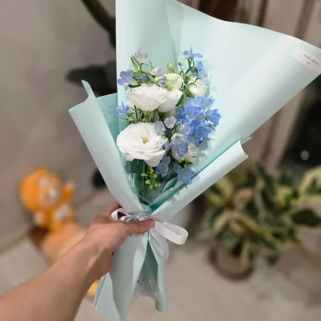 예비리라아범
