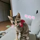 열심히트레킹하는동호회원