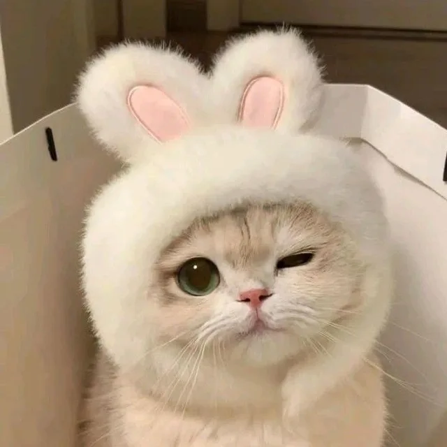 보리