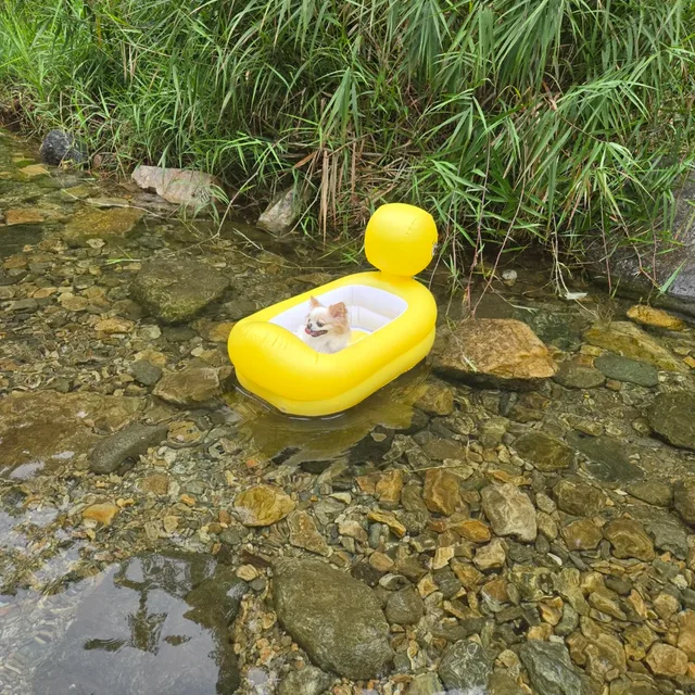 경자매력