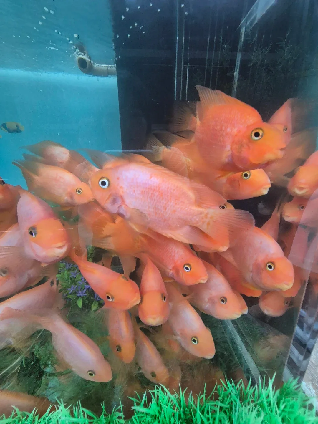 쿨거래