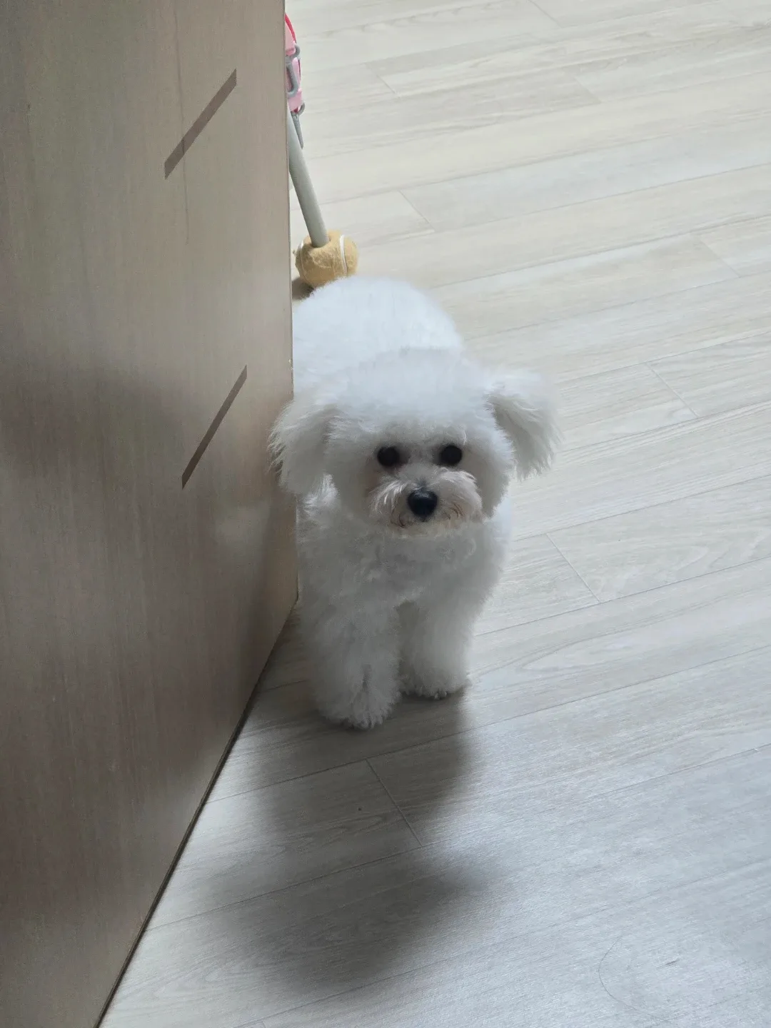 새콤달콤