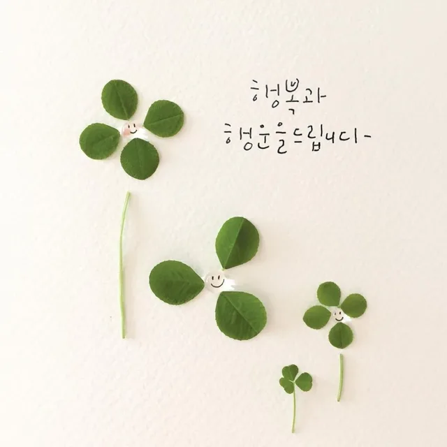 O당근해O