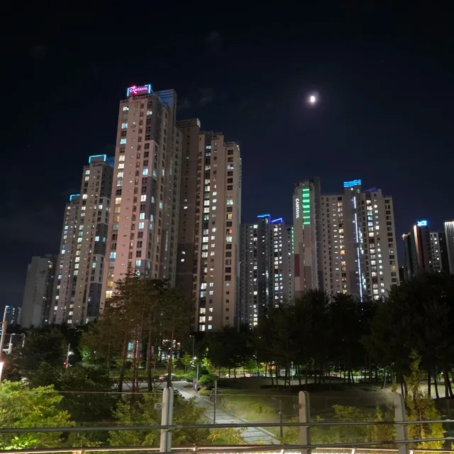 골드올리비아