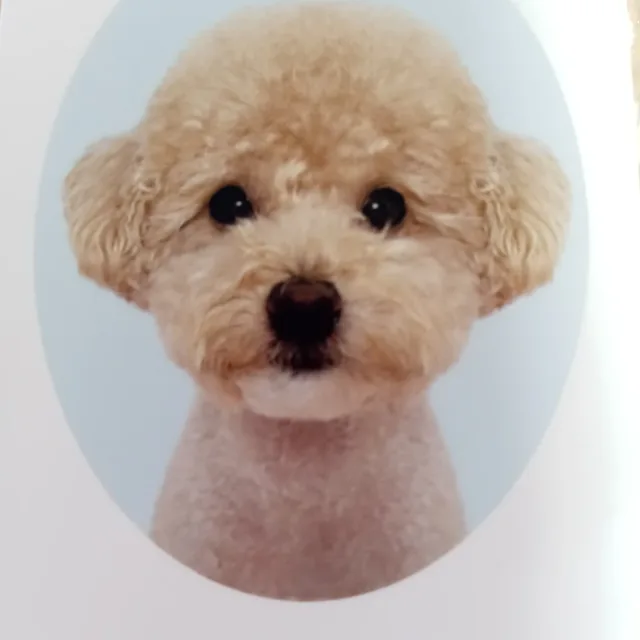 호두승질머리