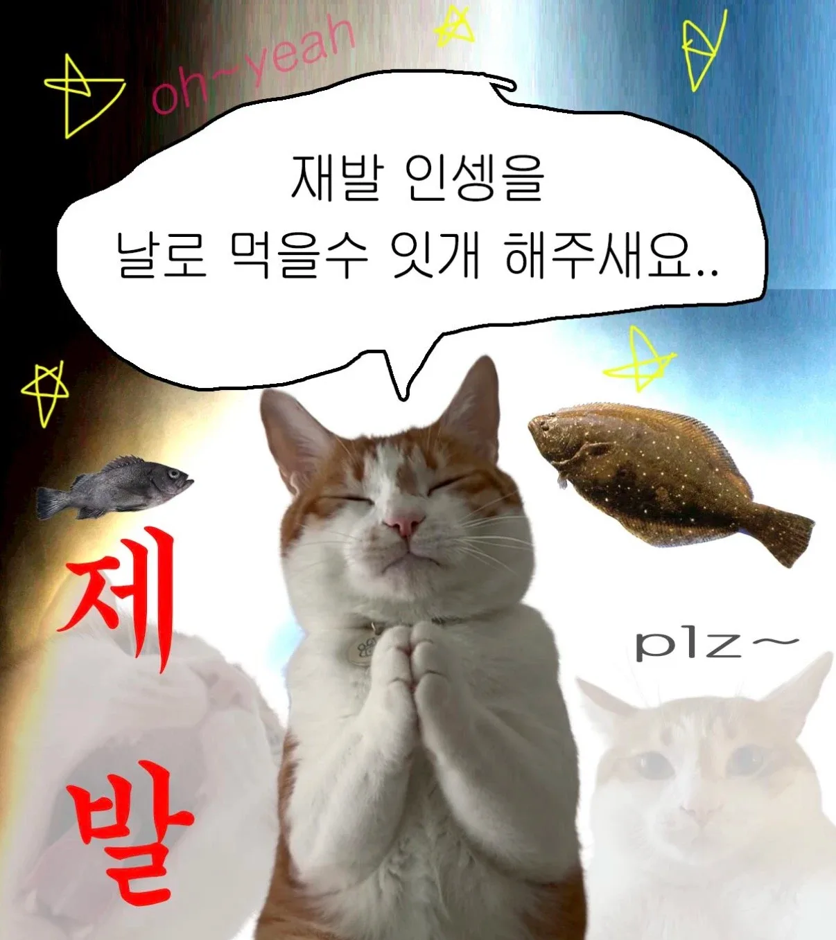 오월의행운