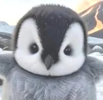 펭귄