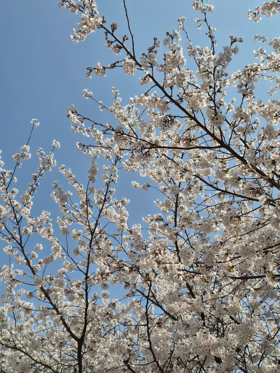 달달