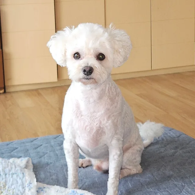 고맙습니다덕분입니다