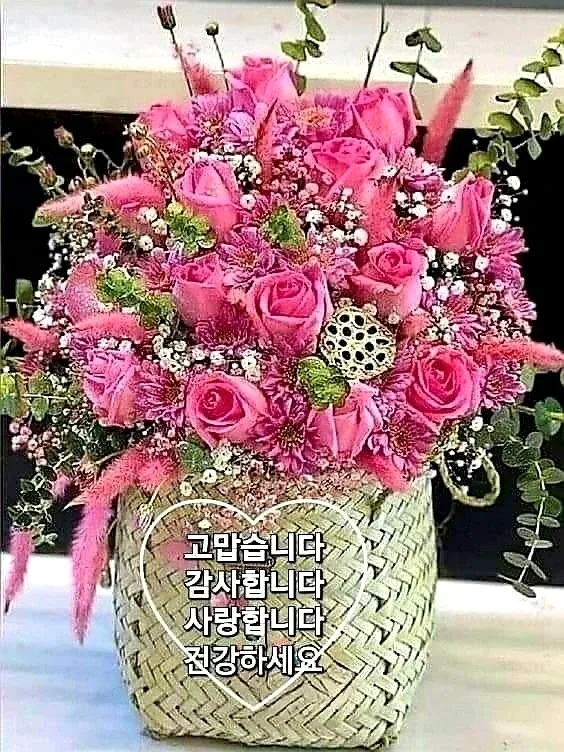 금광