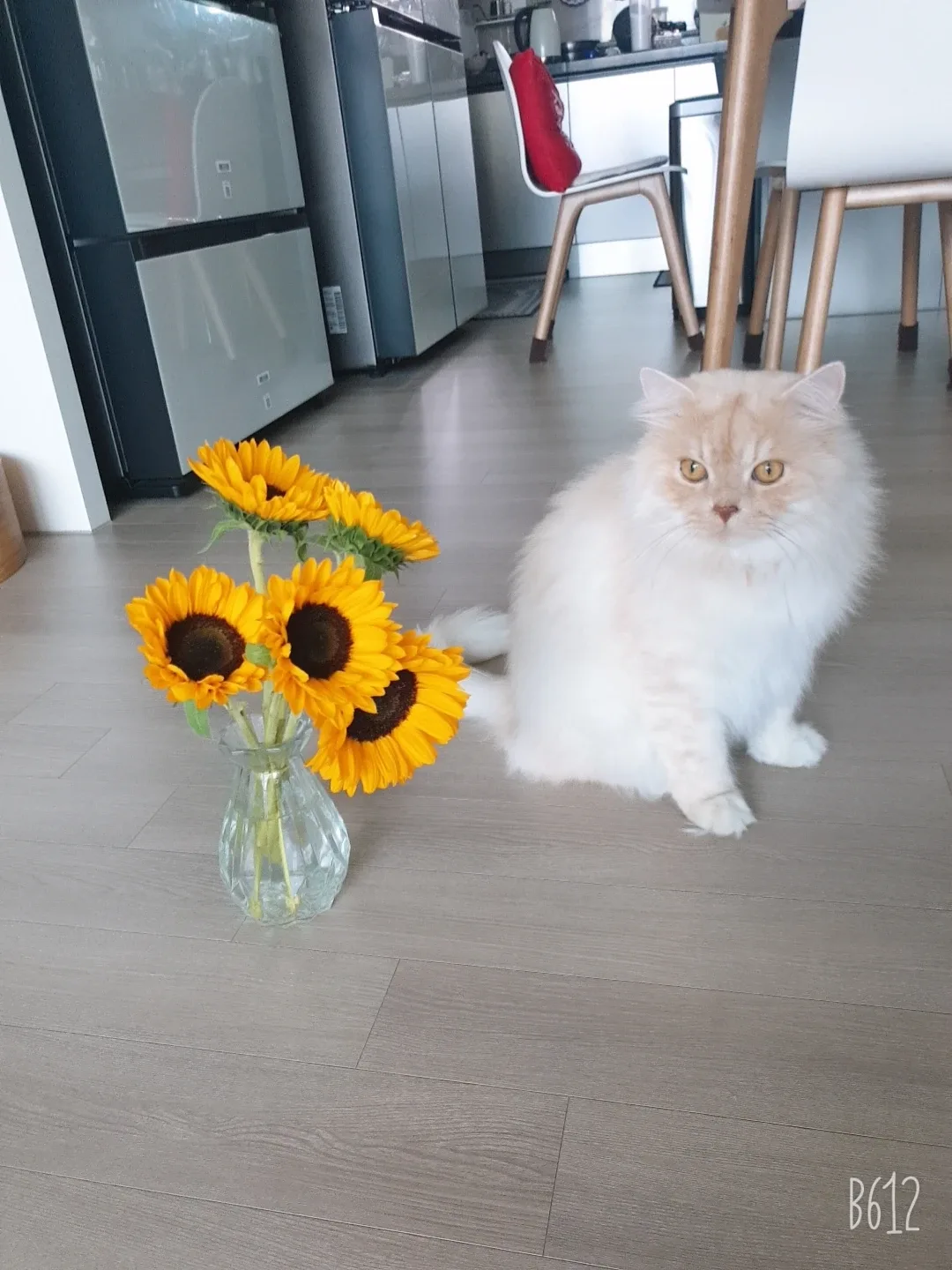 짤쯔