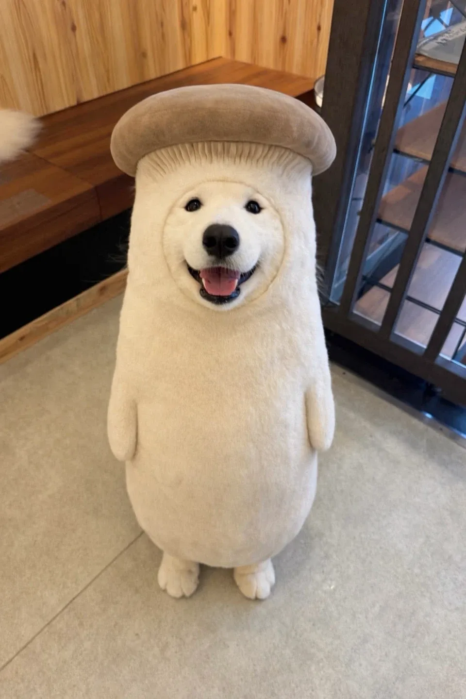 해냄