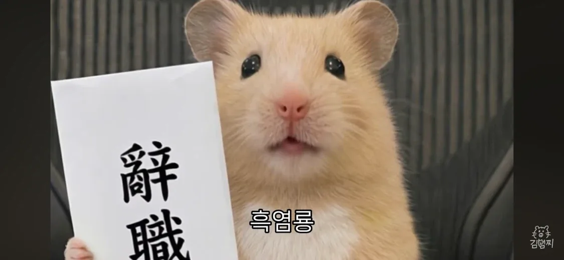 캐럿마켓